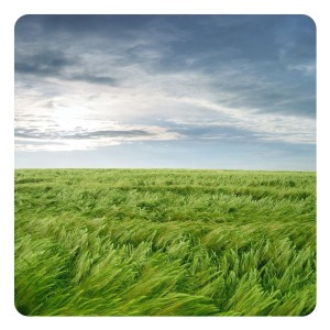 Когда славяне праздновали День Стрибога